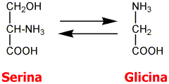 Formación glicina