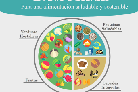 Plato_saludable_sostenible_PIOBIN